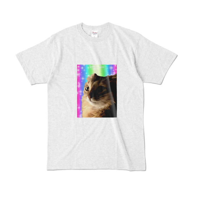 カラーTシャツ - L - アッシュ (淡色)