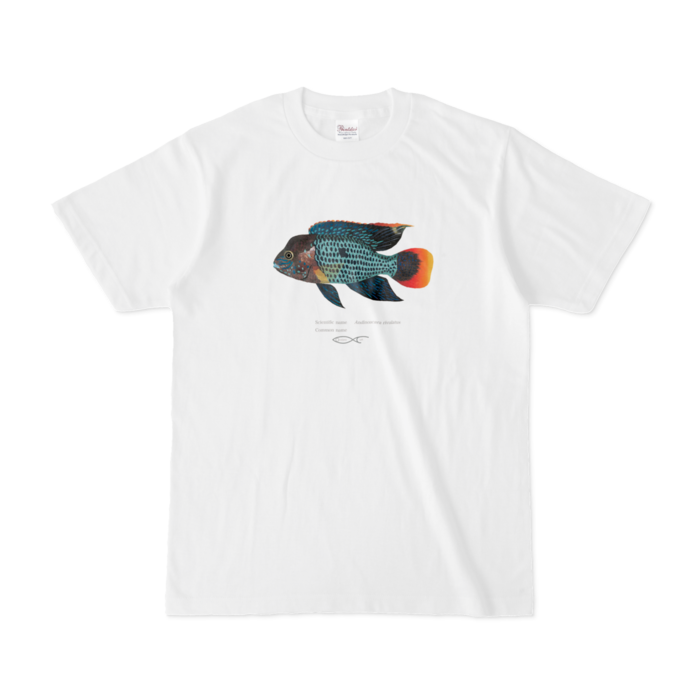Tシャツ - S - 白