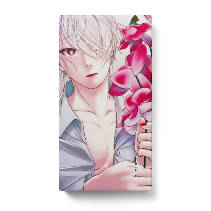 モバイルバッテリー - 123 x 65 (mm)