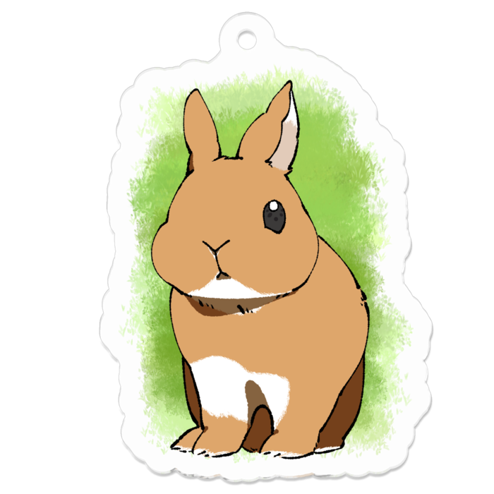 アクリルキーホルダー - 50 x 50 (mm)