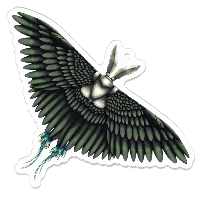 黒　ー　70 x 70㍉／コーティングあり