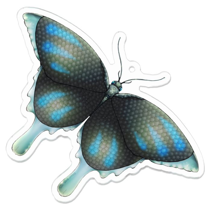 青　ー　70 x 70㍉／コーティングあり