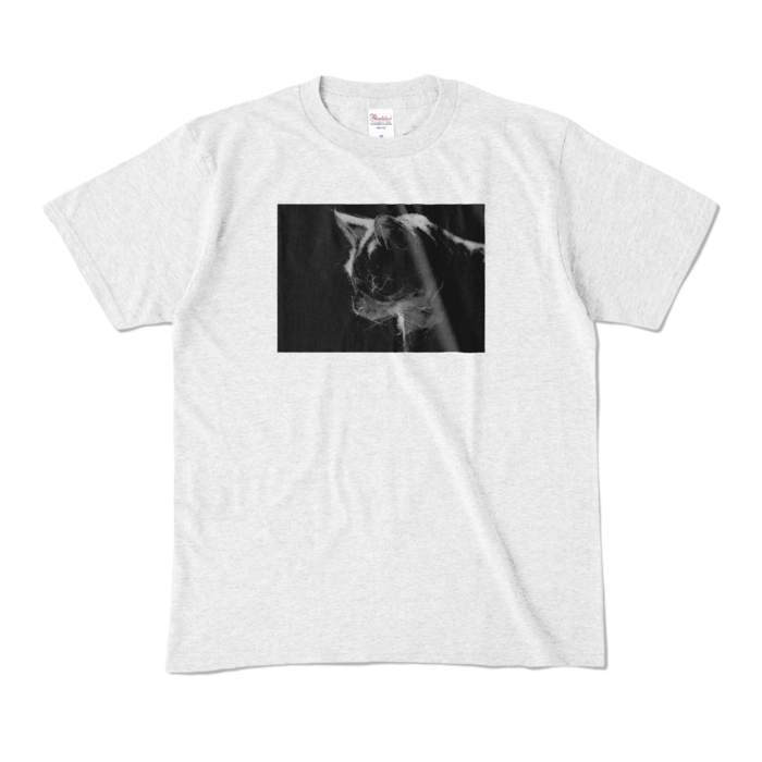 カラーTシャツ - M - アッシュ (淡色)