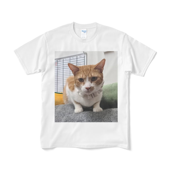 Tシャツ(短納期) - M - ホワイト