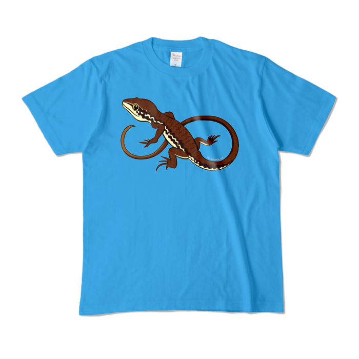 カラーTシャツ - M - ターコイズ (濃色)