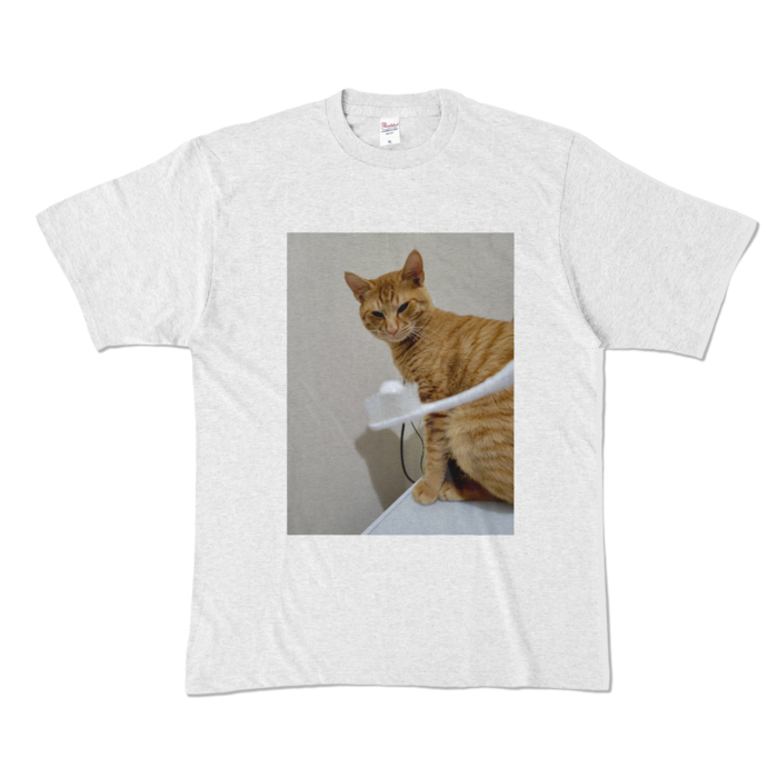 カラーTシャツ - XL - アッシュ (淡色)