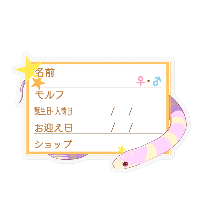 【🐍お名前ステッカー】カリキン(アルビノバンデット) ‐星
