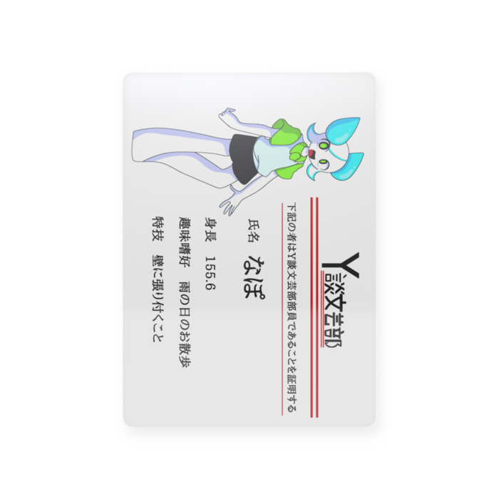 プラスチックカード - トレカ（63 × 88mm）(1)
