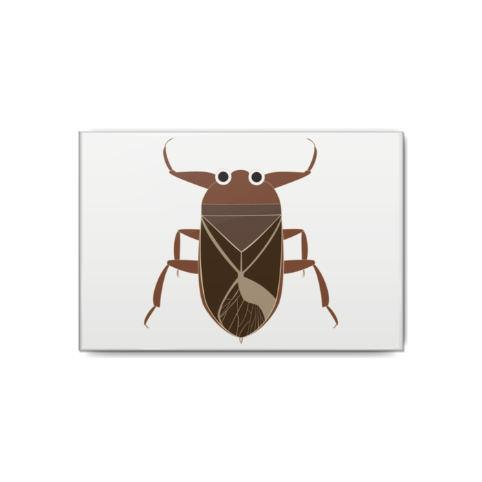 缶バッジ - 80x54mm