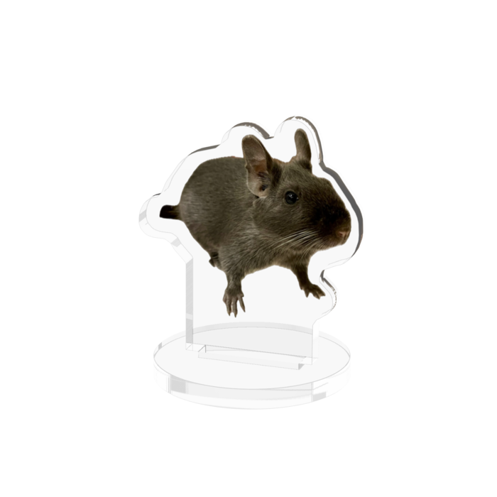 アクリルフィギュア - 50x50mm
