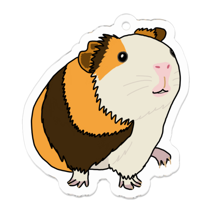 もるもっと