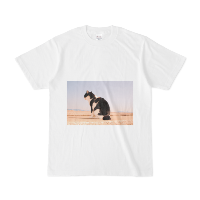 Tシャツ - S - 白