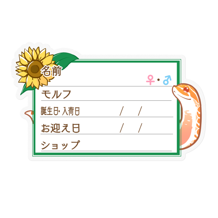 【🐍お名前ステッカー】シシバナ(アルビノ) ‐ひまわり