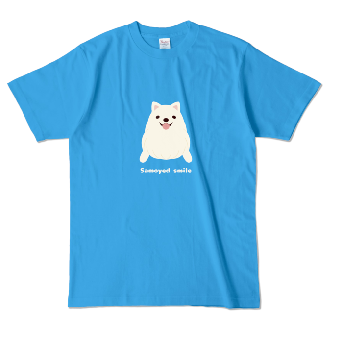 カラーTシャツ　ターコイズ　L