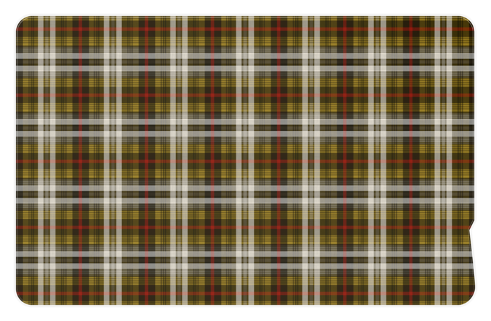 ICカードステッカー (チェックNo5)