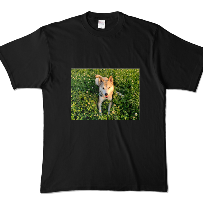 カラーTシャツ - XL - ブラック (濃色)