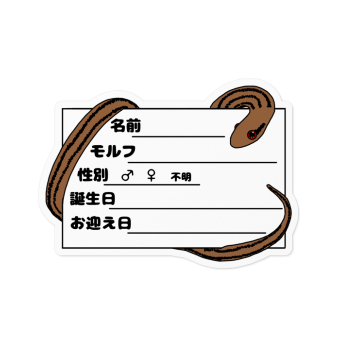 シマヘビ　ステッカー - 100 x 100 (mm)