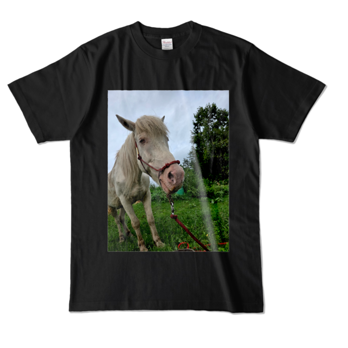 カラーTシャツ - L - ブラック (濃色)