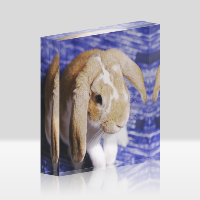 アクリルブロック - 100x100mm