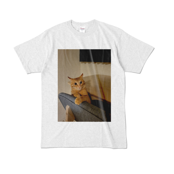 カラーTシャツ - L - アッシュ (淡色)