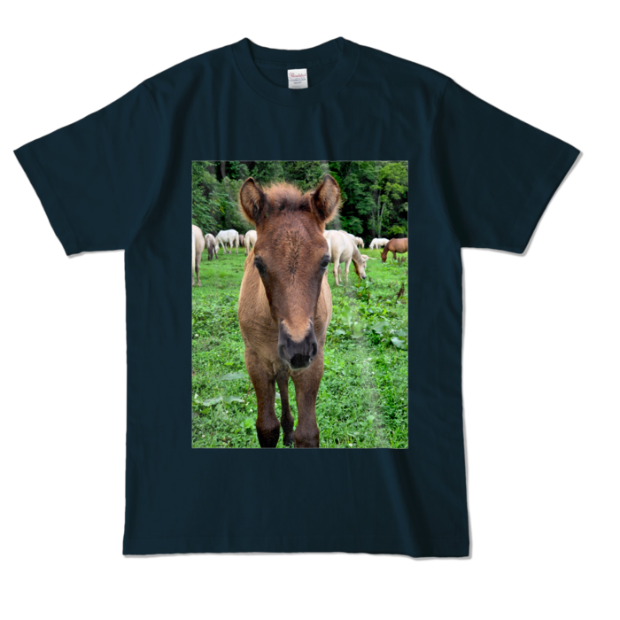 カラーTシャツ - L - ネイビー (濃色)