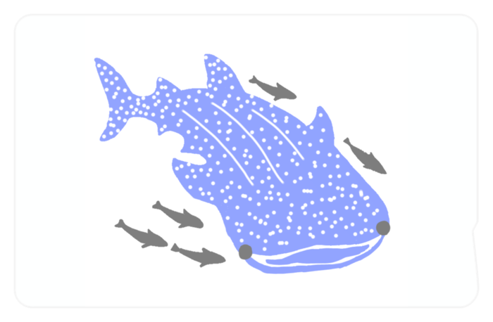 ICカードステッカー - 約85.7x53.9(mm)