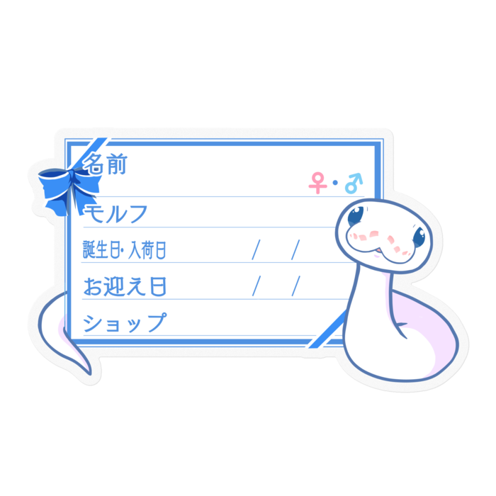 【🐍お名前ステッカー】ボールパイソン(BELミニ) - リボン/ブルー