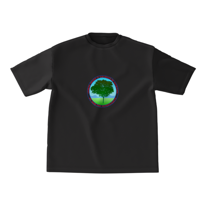 ビッグシルエットTシャツ - M - 正面