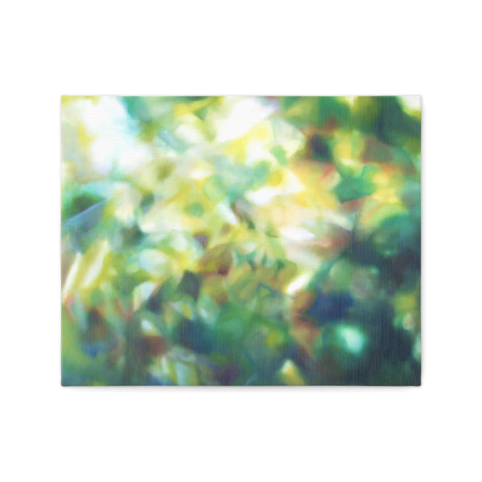 キャンバス - F3