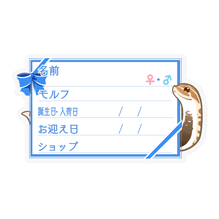 【🐍お名前ステッカー】シシバナ(アナコンダ) ‐リボン／ブルー