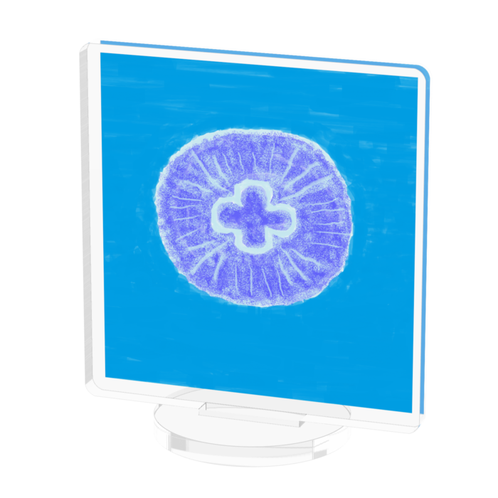 アクリルフィギュア - 50x50mm