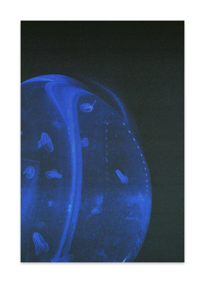 ポストカード(10枚セット) - ヴァンヌーボVGスノーホワイト195kg