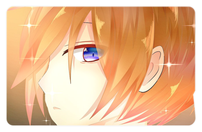 ICカードステッカー - 約85.7x53.9(mm)