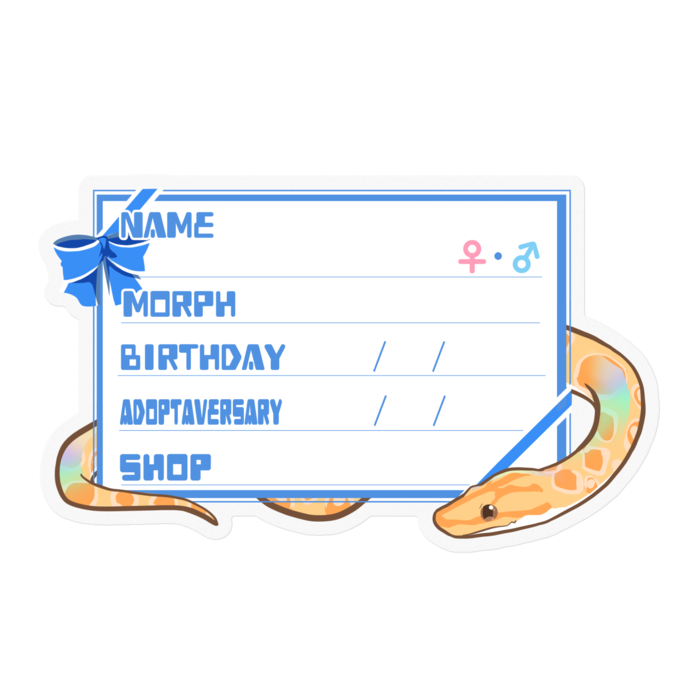 【🐍お名前ステッカー】ブラニジ(アルビノ) ‐リボン／ブルー(英語)