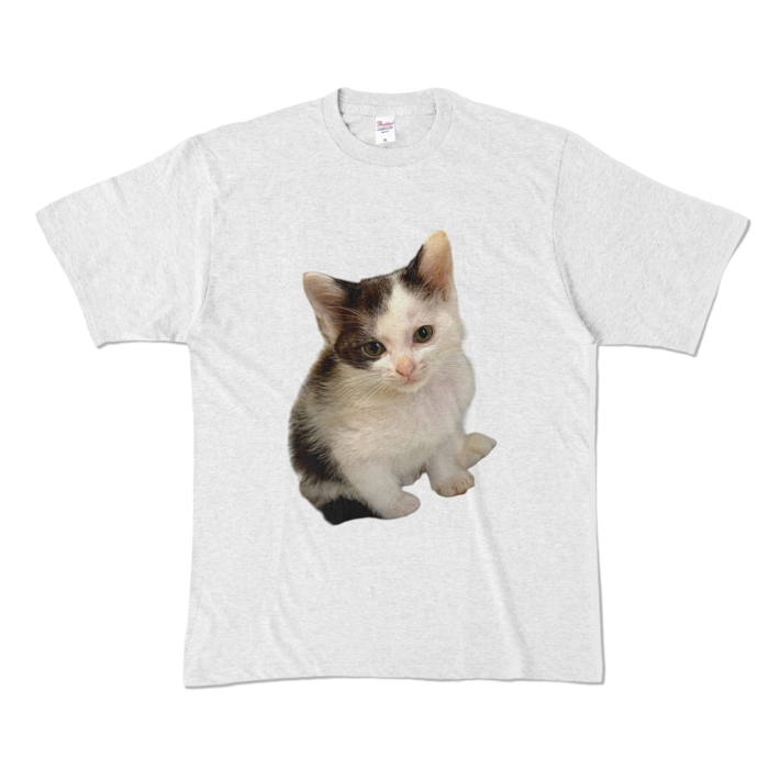 カラーTシャツ - XL - アッシュ (淡色)