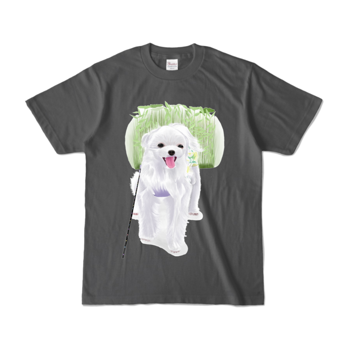 カラーTシャツ - S - チャコール (濃色)