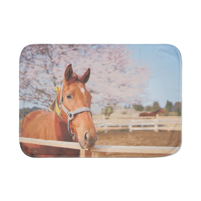 3歳馬ちゃんブランケット かわいい馬たち屋さん Booth