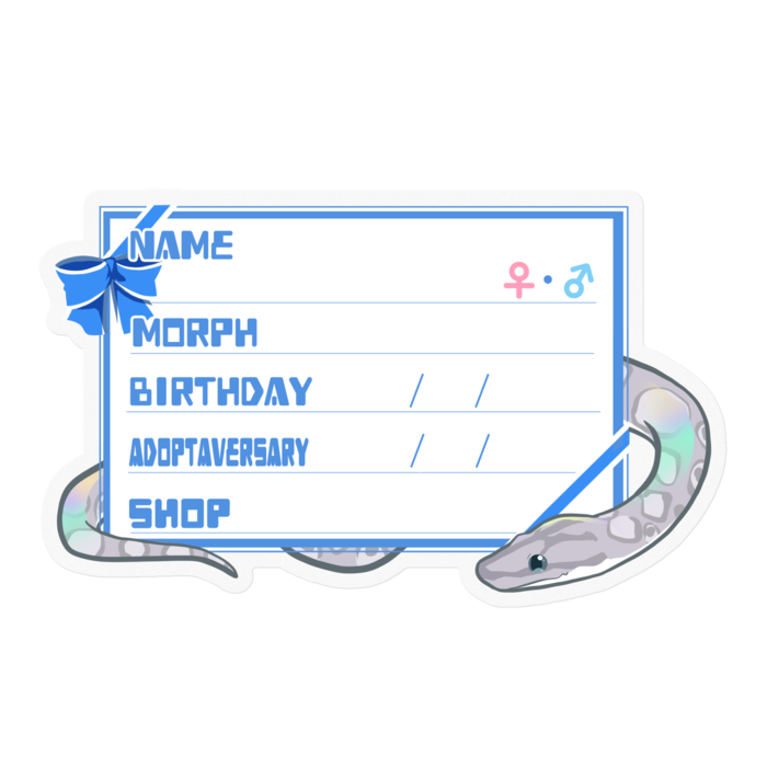 【🐍お名前ステッカー】コロニジ(アザン) ‐リボン／ブルー(英語)