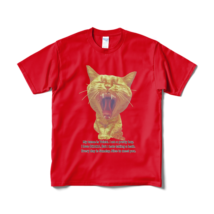 Tシャツ(短納期) - M - レッド