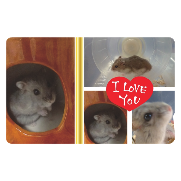 ICカードステッカー - 約85.7x53.9(mm)