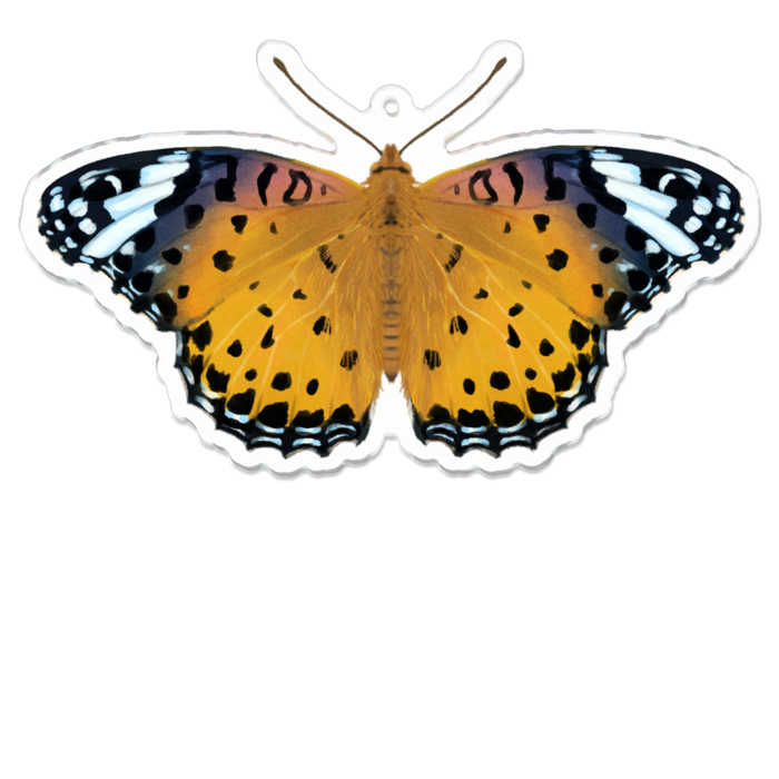 アクリルキーホルダー - 100 x 100 (mm)