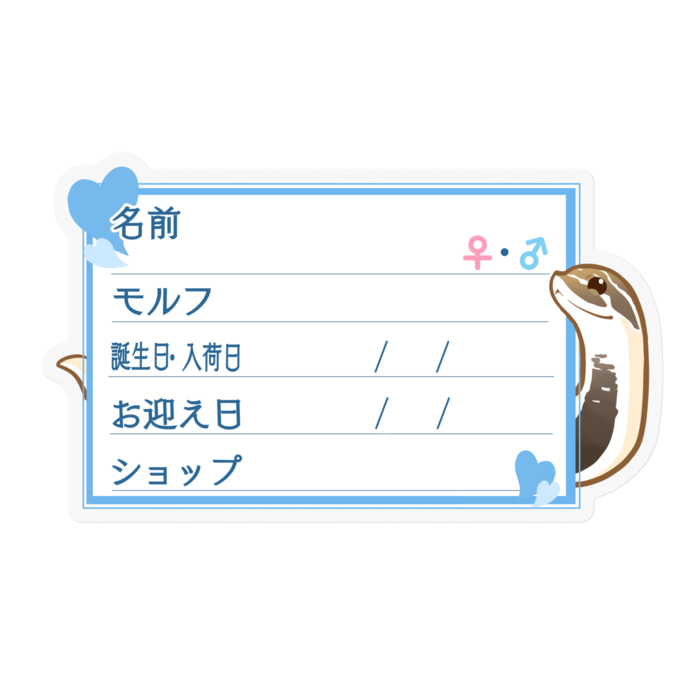 ใ๐ใๅๅในใใใซใผใใทใทใใ(ในใผใใผใณใณใ) โใใผใ๏ผใใซใผ