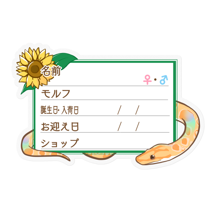 【🐍お名前ステッカー】ブラニジ(アルビノ) ‐ひまわり