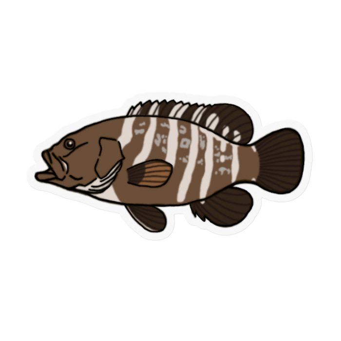 ステッカー - 100 x 100 (mm)