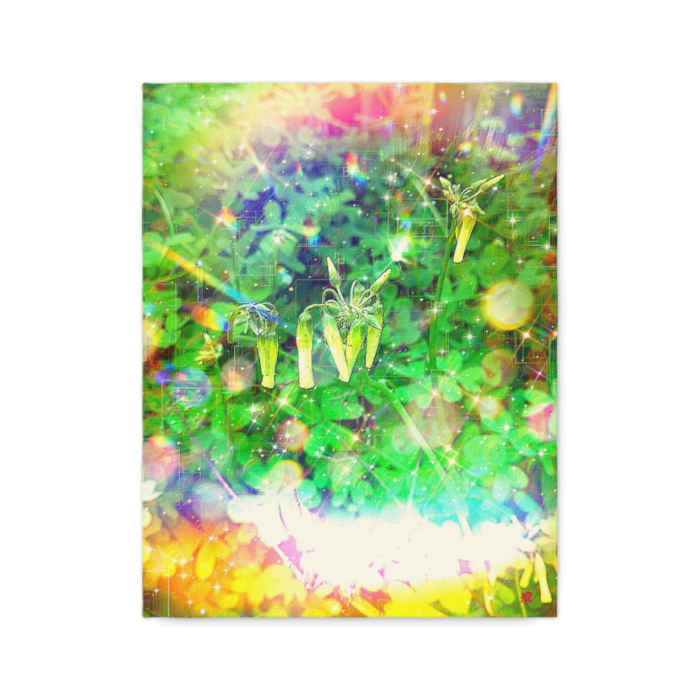 キャンバス - F6