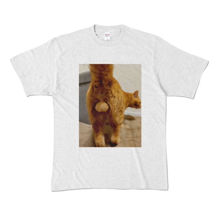 カラーTシャツ - XL - アッシュ (淡色)