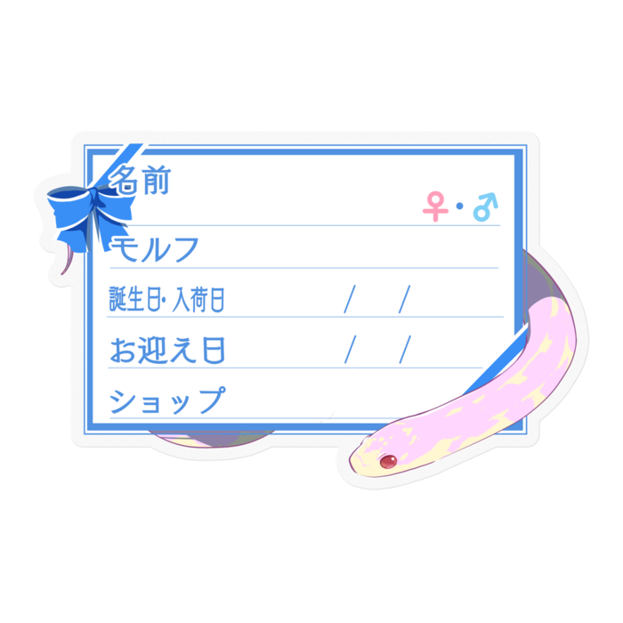 【🐍お名前ステッカー】カリキン(アルビノアベラント) ‐リボン/ブルー