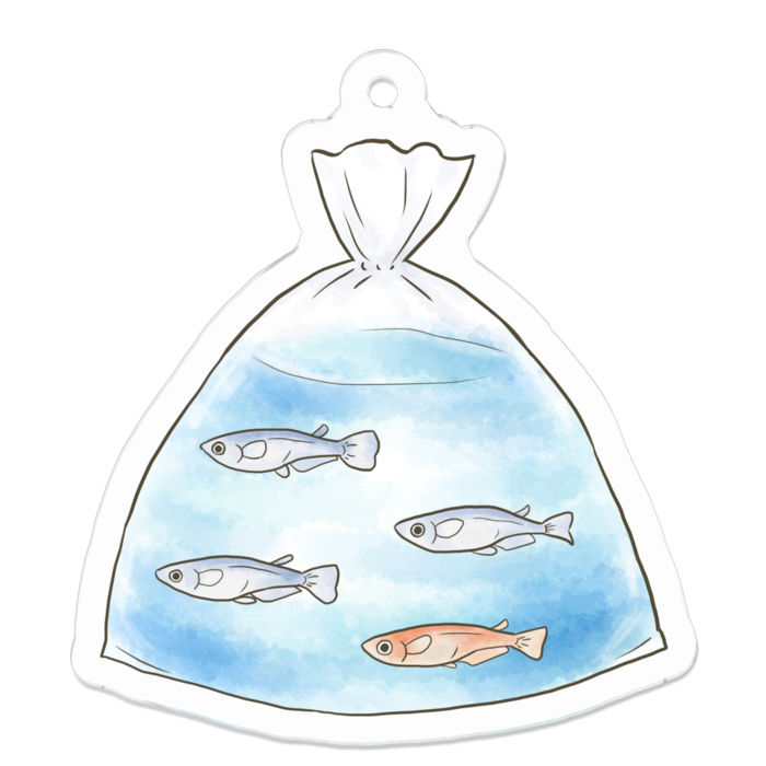 アクリルキーホルダー - 50 x 50 (mm)