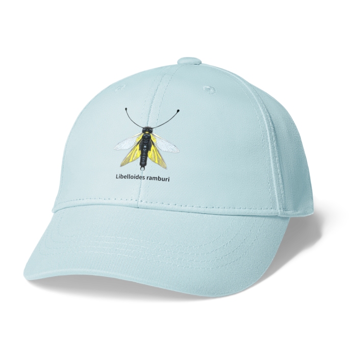 キャップ - ライトブルー