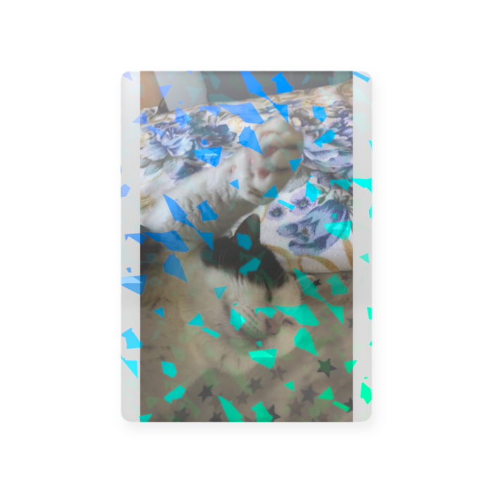 プラスチックカード - トレカ(63 × 88mm)